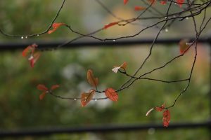 Navigating the Landscape of IT Certifications in 2025