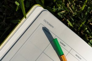 Harnessing Scenario Planning for Career Success