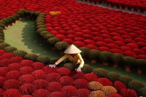 How Amazon Fuels the Creative Economy