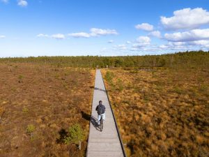 AIBE 2025 Registration Opens: What Candidates Need to Know