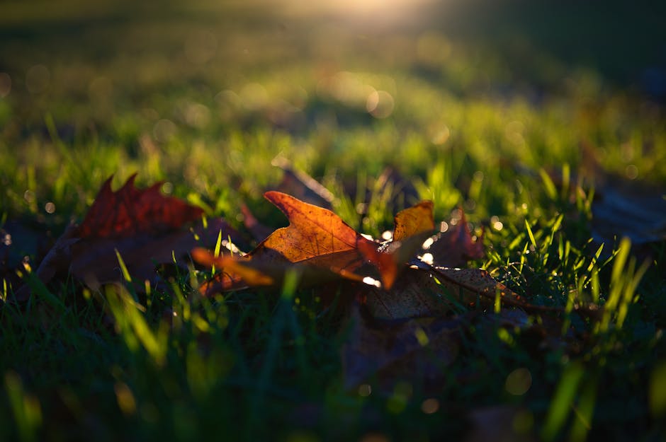 Understanding the Rise of ‘Quiet Redundancies’ in Ireland