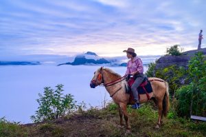 BTS’ RM to Address APEC CEO Summit, Pioneering K-Pop Influence