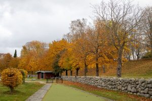 Navigating Modern Mentorship: A Guide for 2025