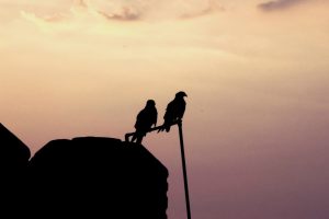Resilience in Leadership: Learning from Setbacks