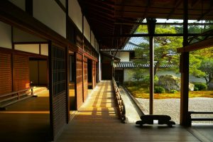 Mindful Wealth Building for Young Professionals