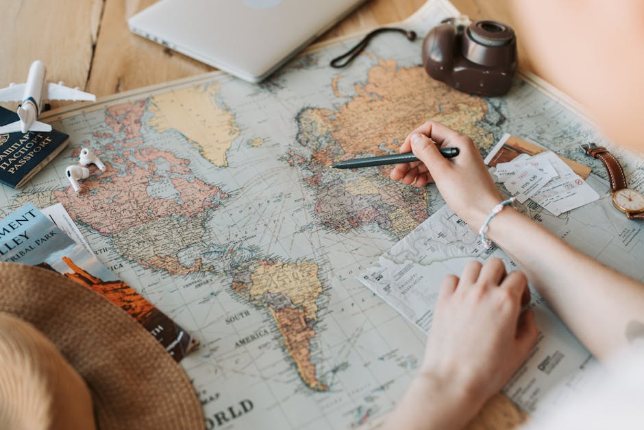 Navigating the Future: Essential Skills in an AI-Driven World
