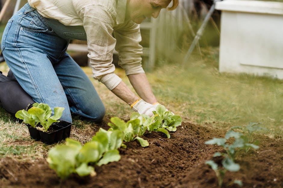 Cultivating Careers in Regenerative Agriculture