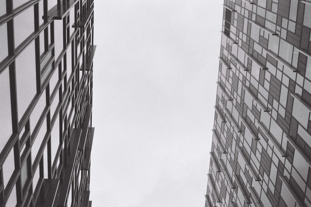 The Value of Public Curiosity in Professional Growth