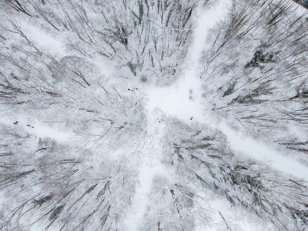 Navigating the Data Landscape: Snowflake Alternatives for 2025
