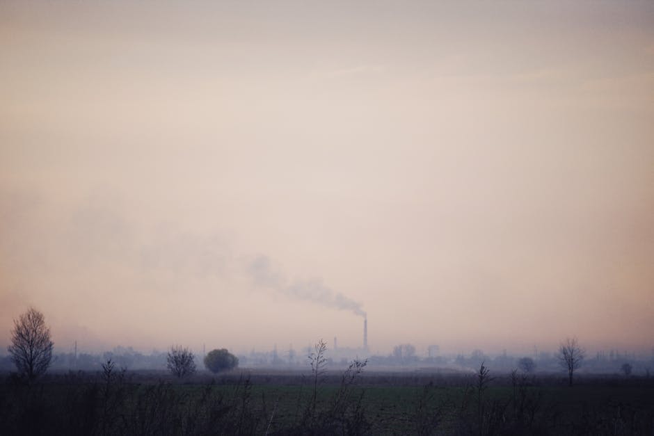 Navigating the Job Market: The Impact of Climate Change on Careers