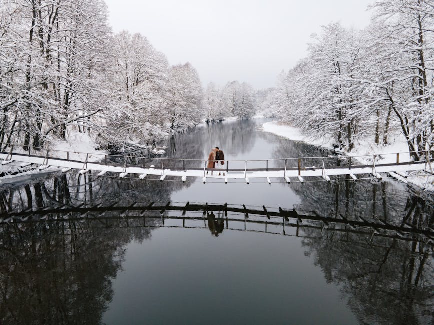 The Quiet Revolution: Embracing Stillness in a Noisy World