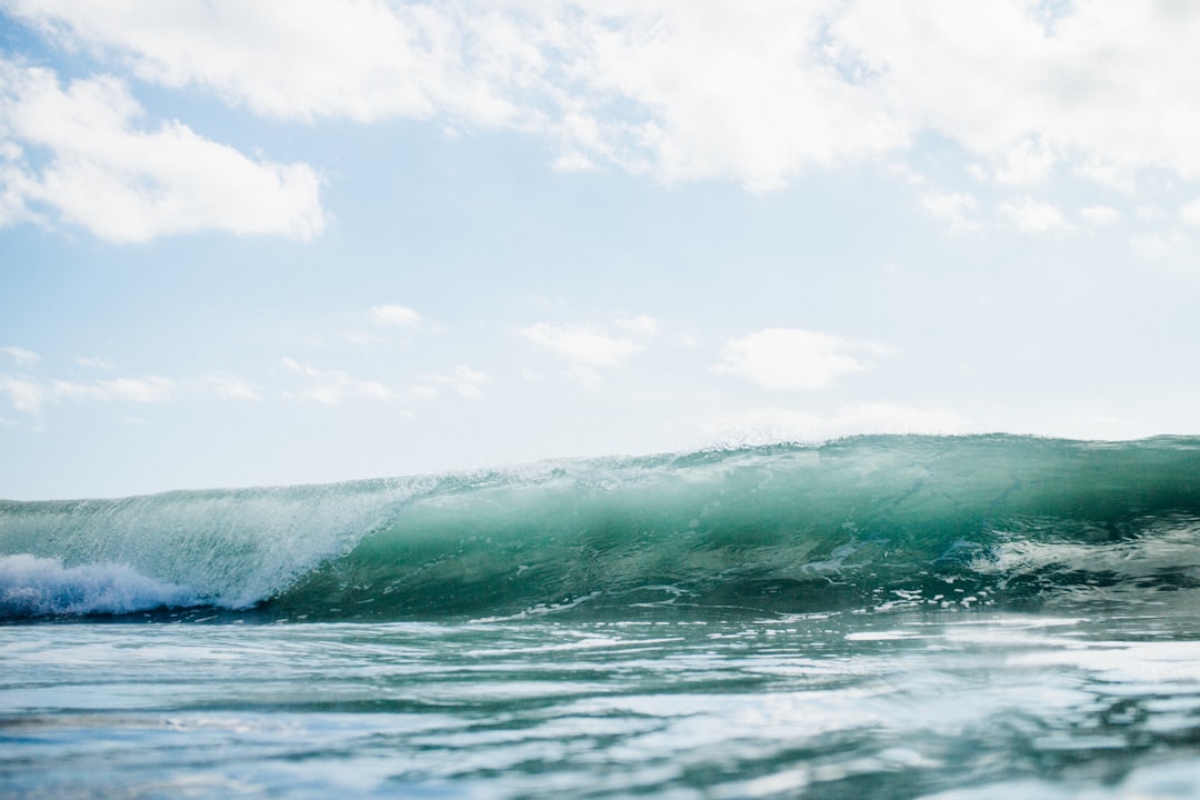 Navigating the AI Wave: Transforming Professional Services for the Future