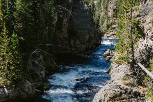 The Rise of Portfolio Careers: Embracing Multiple Income Streams