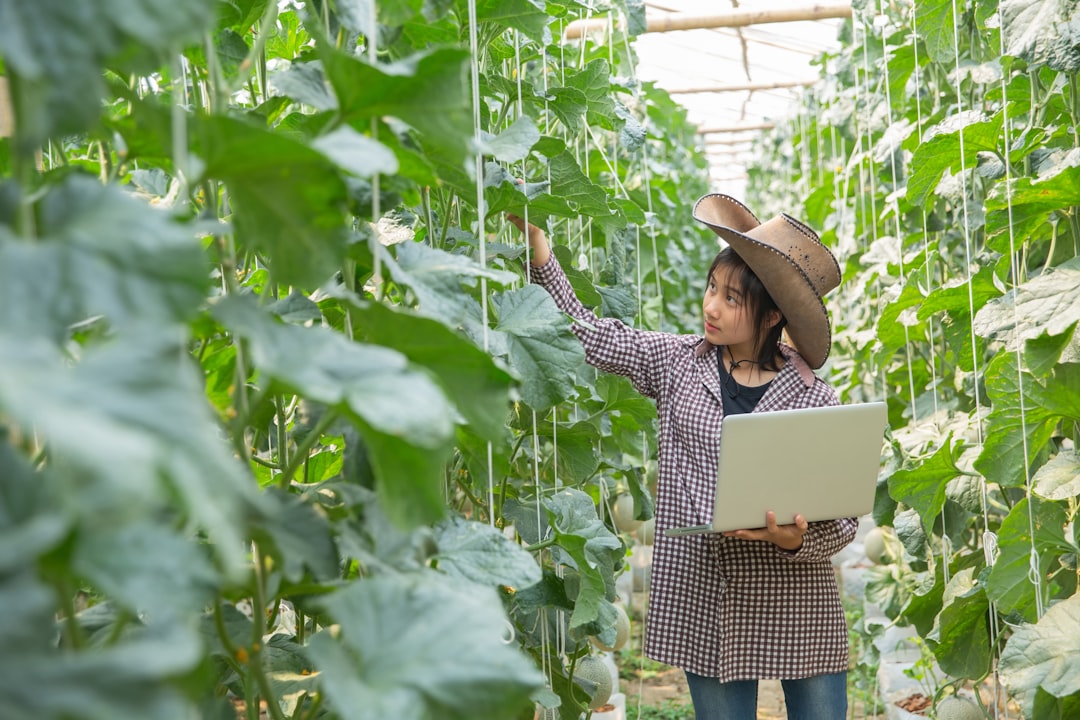 Cultivating Careers in Regenerative Agriculture