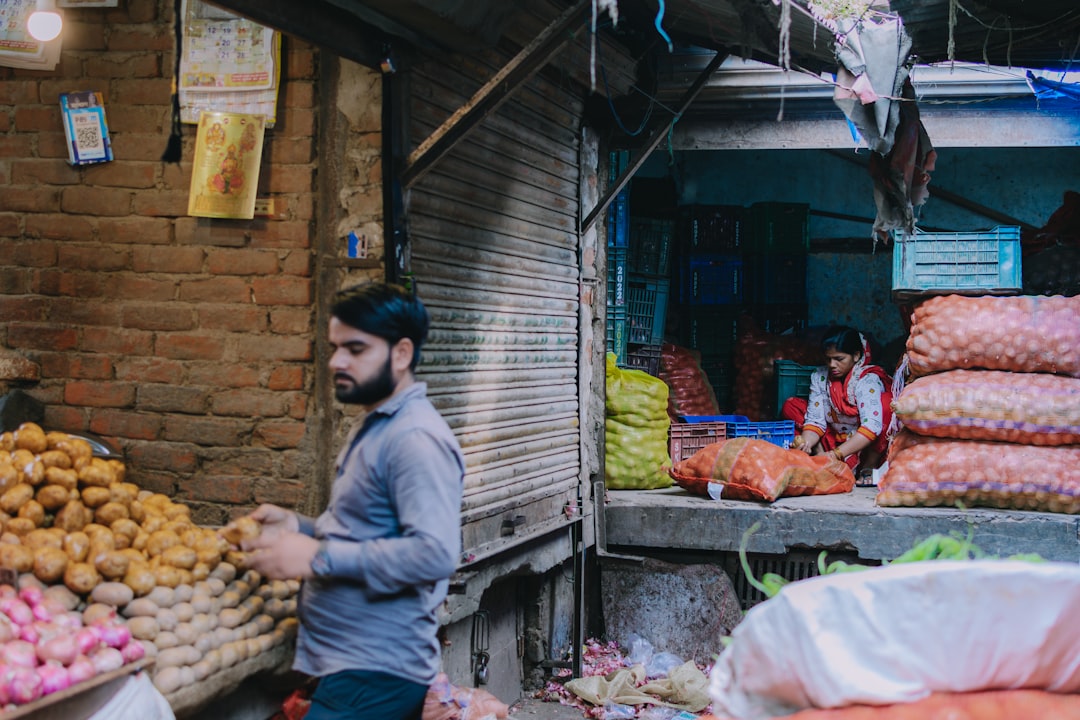 Evaluating Migration Patterns from Punjab: Economic and Social Impacts