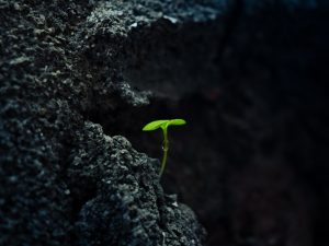 Gen Z’s Resilience Amid Economic Uncertainty