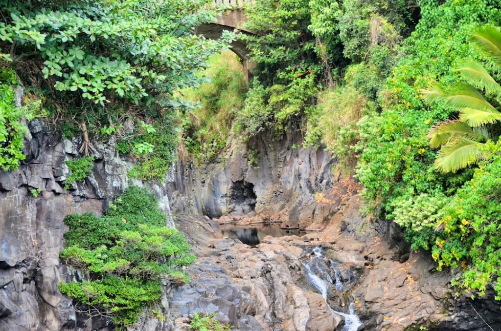 Shillong’s Adventure Tourism Meet: A Sustainable Future