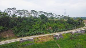 Solarvest Secures Major Contract for Petra 5+ Solar Project