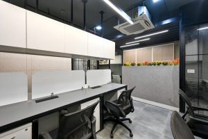 Navigating the Skills Shift: AI, Agility, and Human Insight