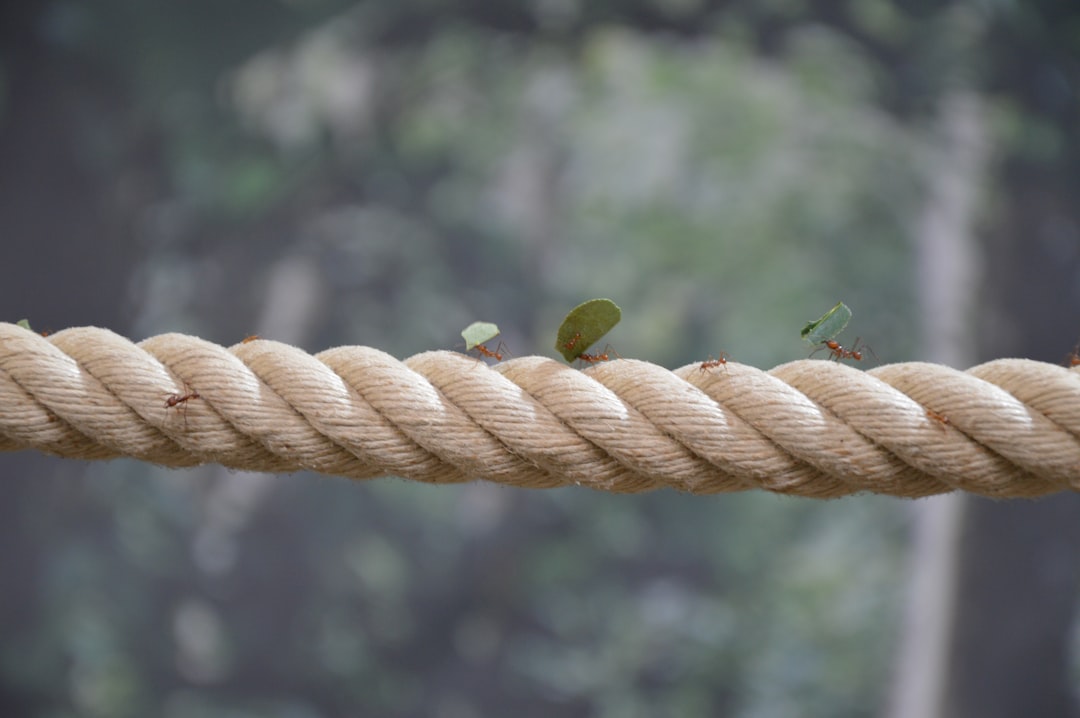 Navigating the Work-Life Balance Tightrope: Insights from Eric Schmidt