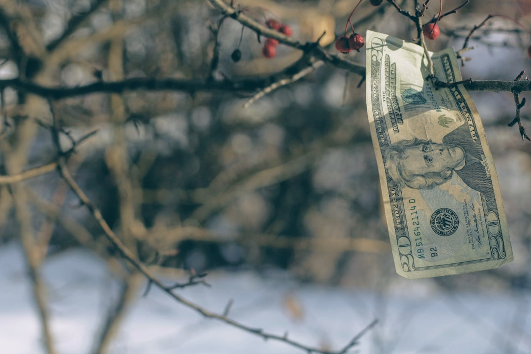 The Impacts of Trump's $100K H-1B Rule on the Startup Ecosystem
