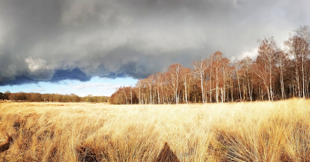 Harnessing Predictive Modeling for Climate Resilience
