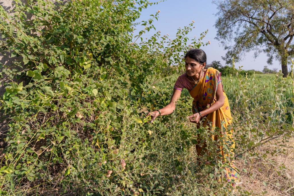 Shanti Vishwakarma: Pioneering Women in Agritech Through Drone Farming