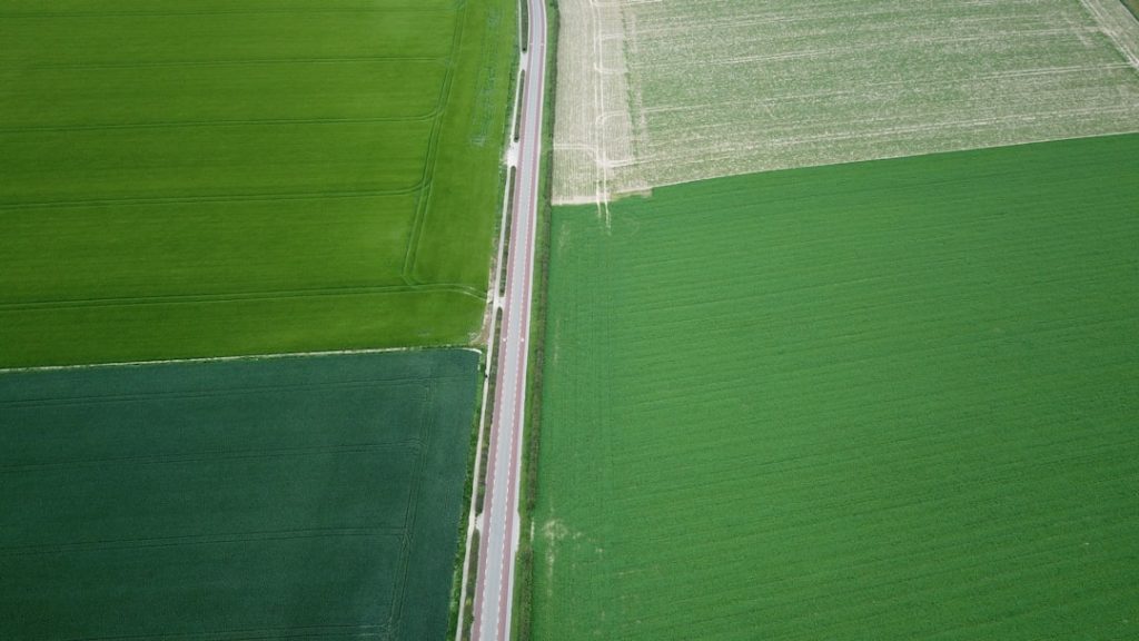 Harnessing AI for Green Jobs: A Future for Youth