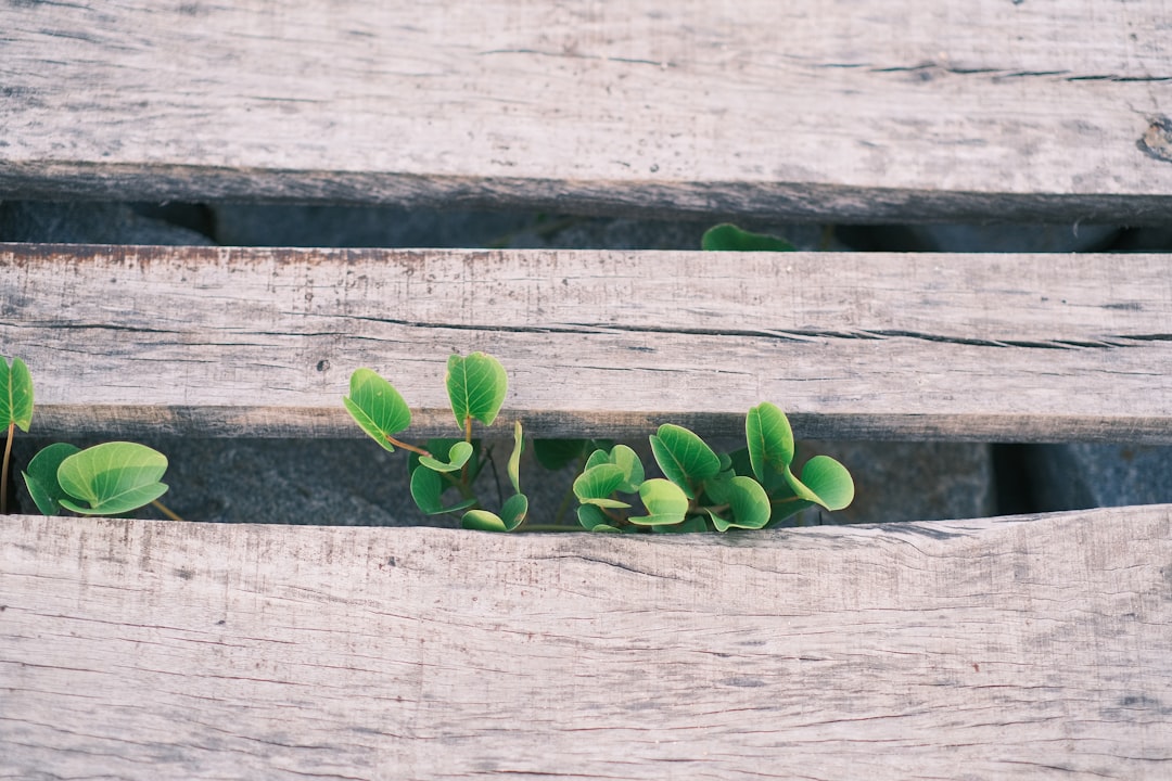 Embracing Discomfort for Leadership Growth