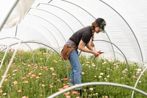 USDA’s 2026 Grants and Loans: A Boost for Women Farmers
