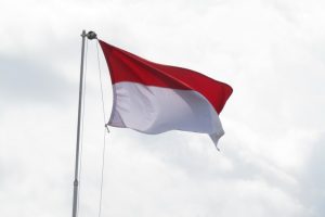 Economic Concerns and Public Sentiment: Insights from Indonesia