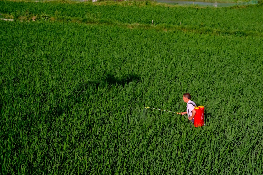 Rising Trends of Smart Farming Market Generated Opportunities, Future Scope 2025-2032