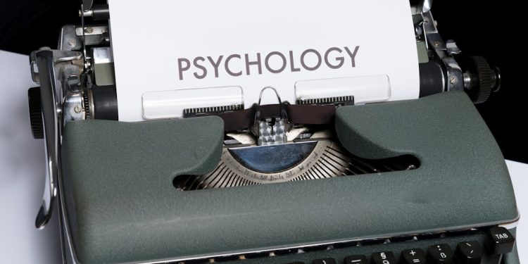 Unlocking Opportunities: Career Paths for Sociology Graduates