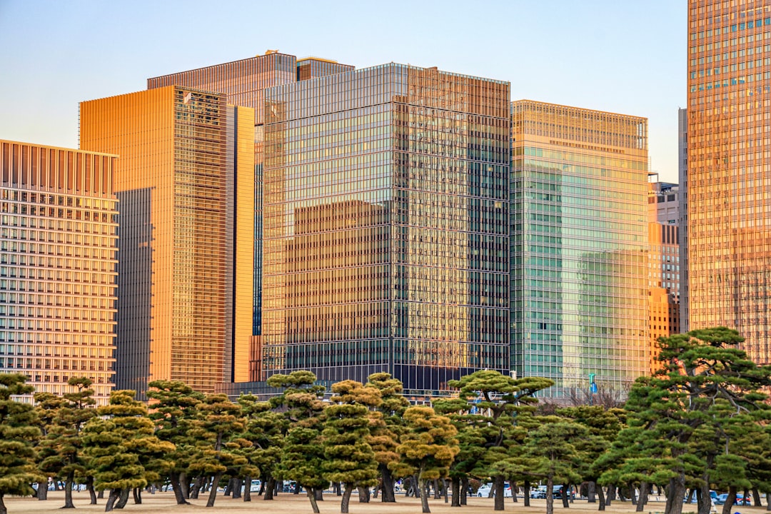 Key Insights from the 2025 IMF-World Bank Meetings in Nigeria