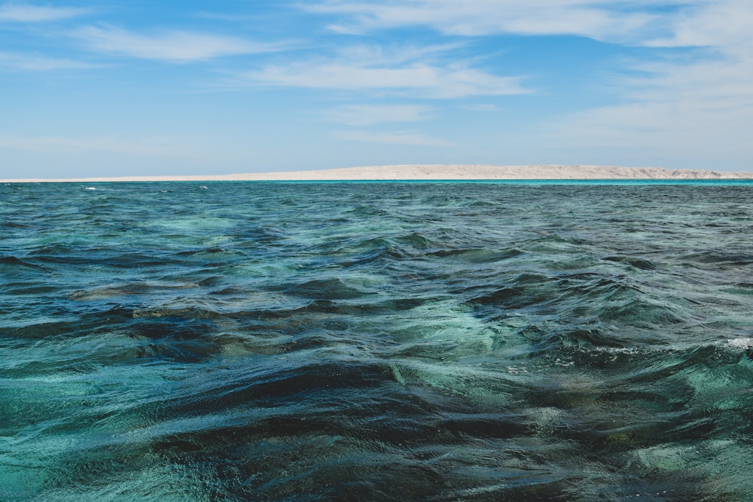 Navigating the <a href=