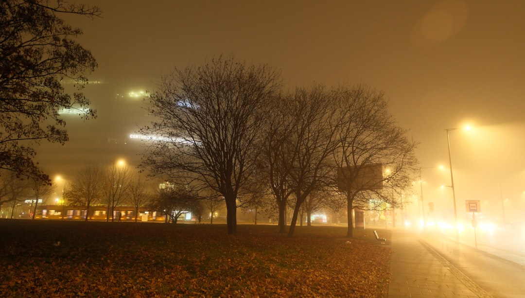 The Unseen Consequences of Light Pollution on Health