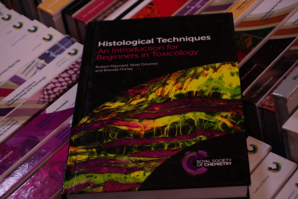 Artificial Intelligence’s Role in Transforming Anthropology