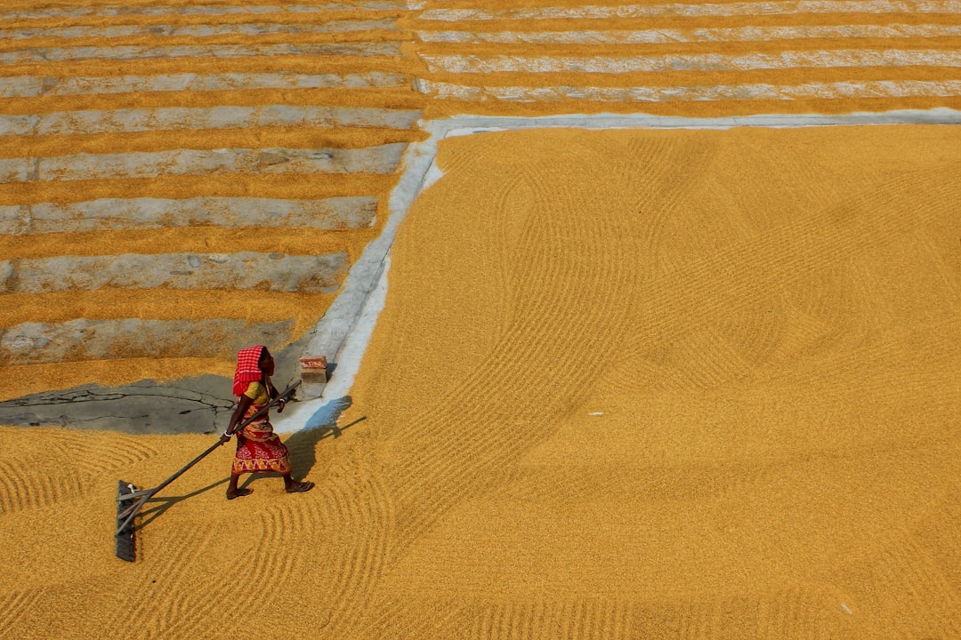 China's Trade Challenge to India: Implications for Agriculture Manufacturing