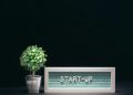 A modern close-up of a start-up theme with a potted plant and text board on a black background.