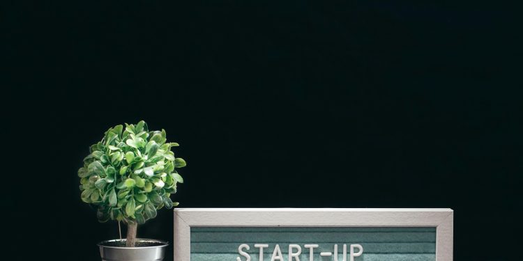 A modern close-up of a start-up theme with a potted plant and text board on a black background.