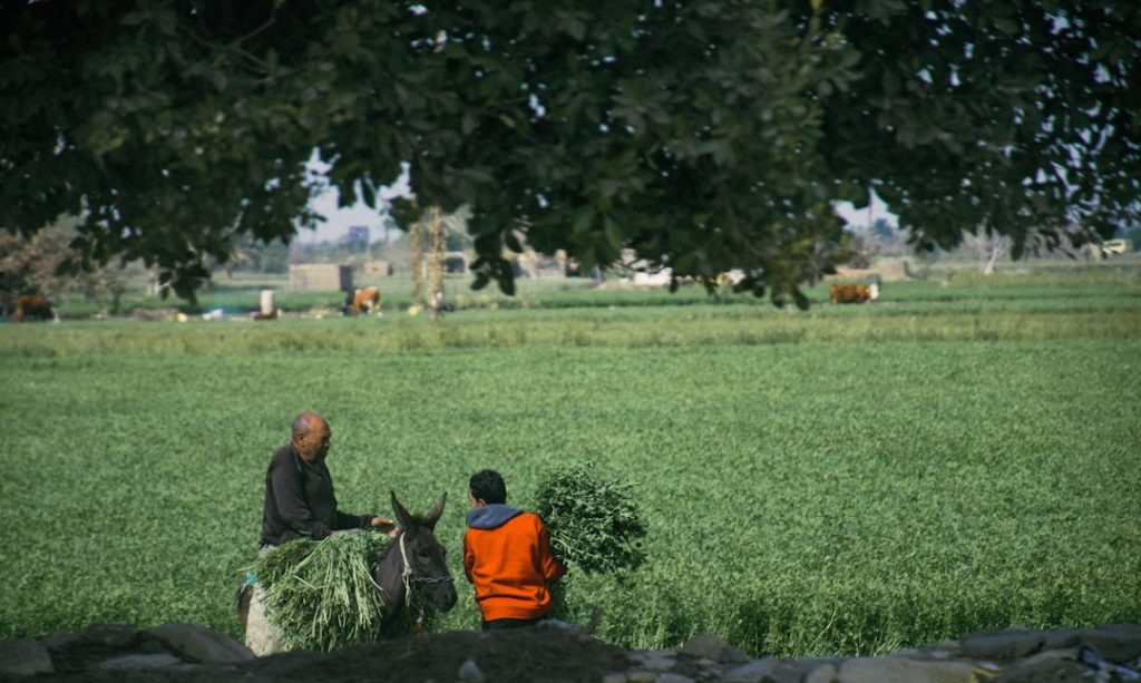 India’s AI Impact Summit 2026: A Call for Agricultural Innovators