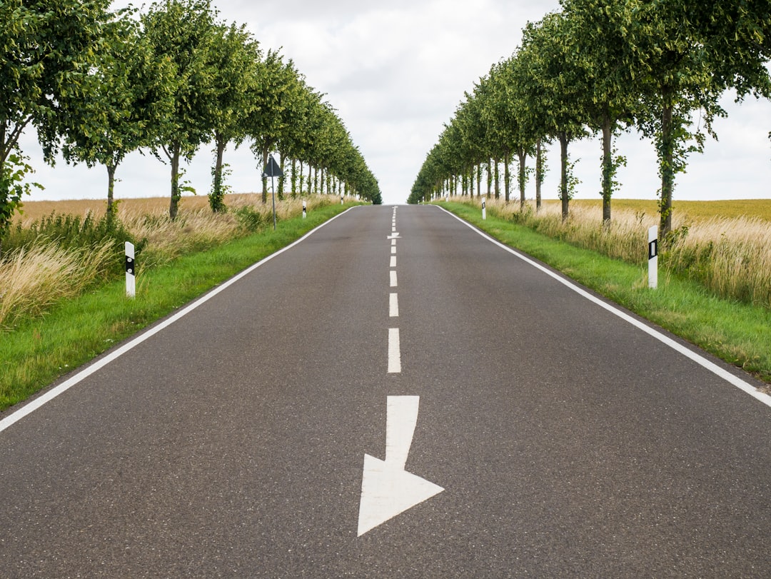 BTech vs BCA: Choosing the Right Path for AI Careers