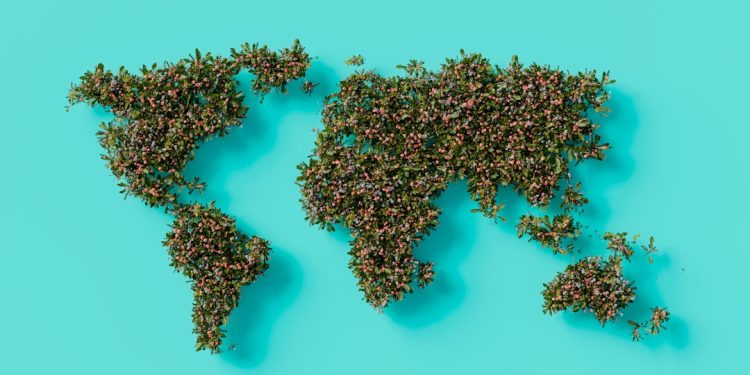 Reviving Multilateralism: A Path to Sustainable Careers