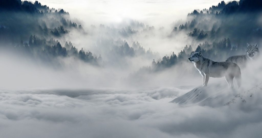 The Hidden Costs of Loneliness in the Workplace