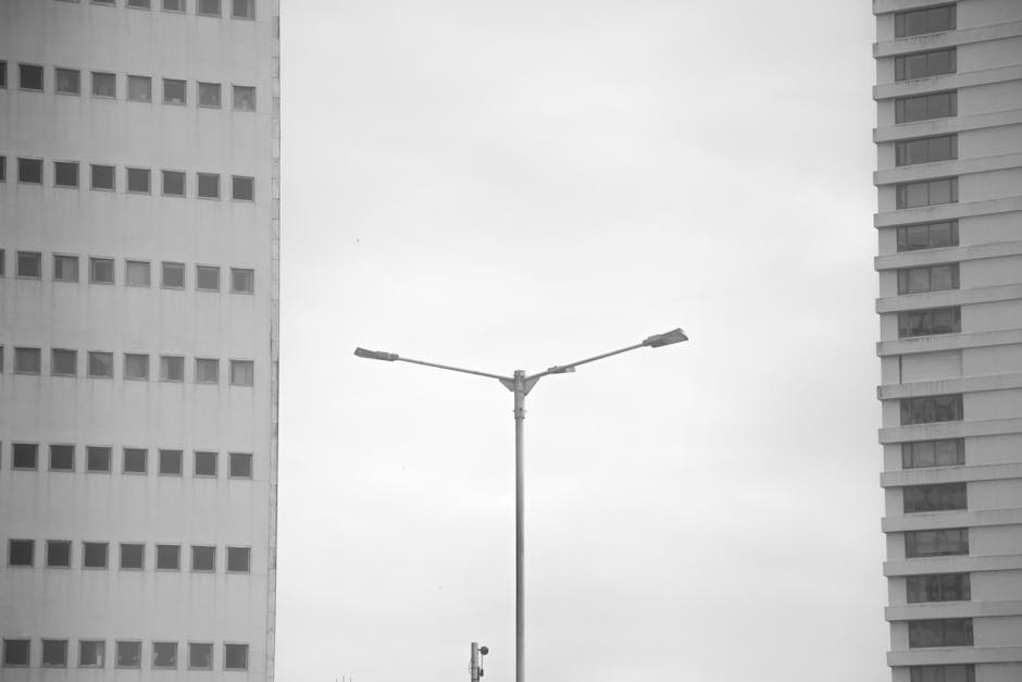 Skills Over Degrees: The New Hiring Landscape in India