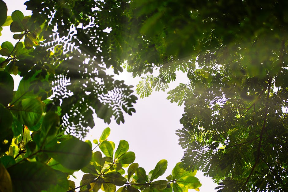 Odisha Hosts CSR & Sustainability Conclave 2025 to Accelerate Inclusive Growth