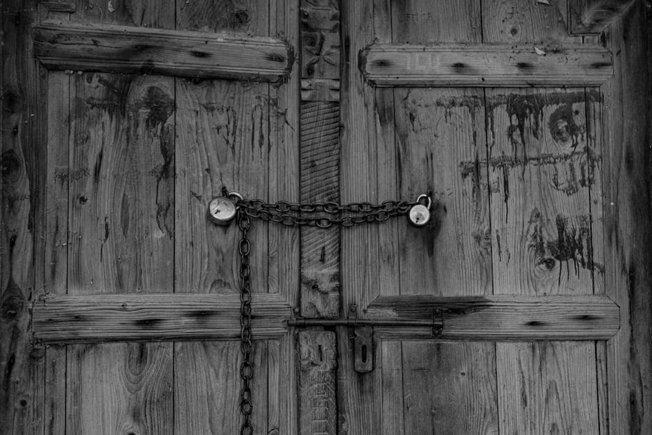 Navigating India's Freelance Landscape: Skills vs. Security