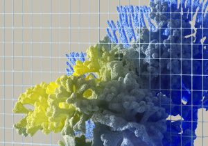 Navigating the Ethics of AI Companions