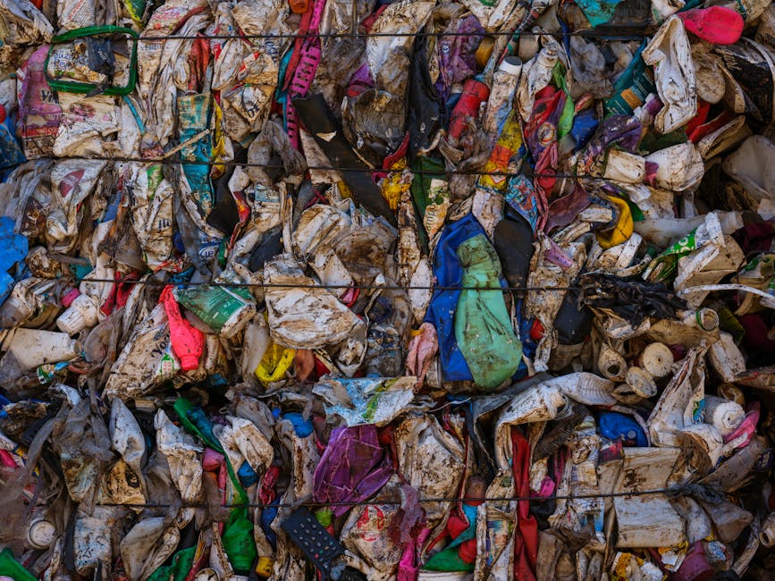 Circular Economy Takes Root: How Leading Firms Rethink Waste and Resource Use