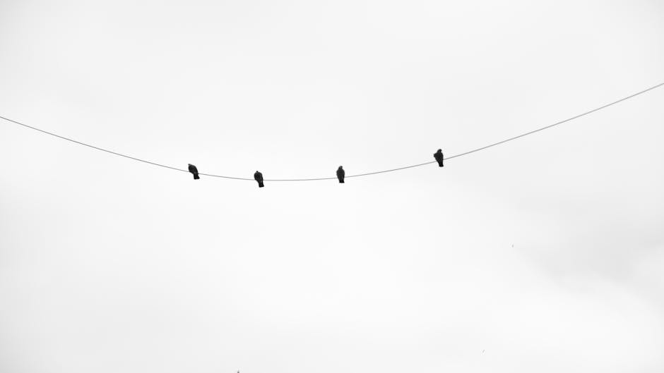 Building the Future: Space Habitats on Earth and Beyond